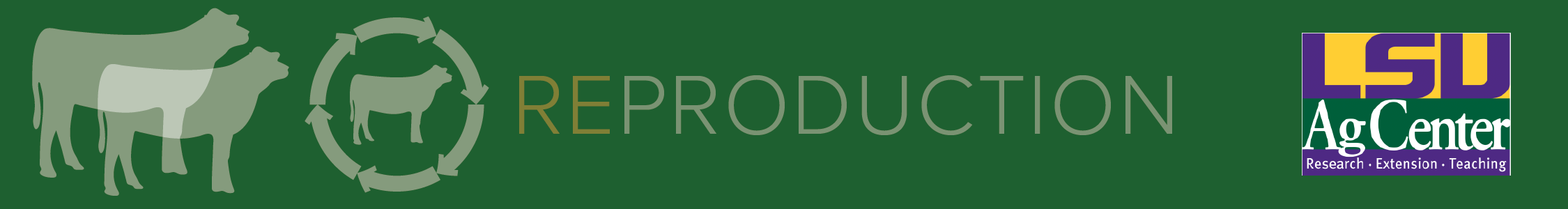 Reproduction banner.